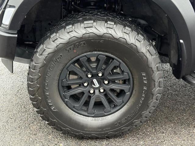 2024 Ford F-150 Raptor 4WD SuperCrew 5.5' Box