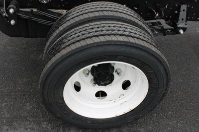 2024 Chevrolet Low Cab Forward 4500 NA