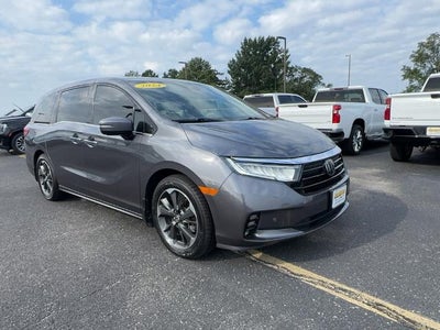 2024 Honda Odyssey Elite