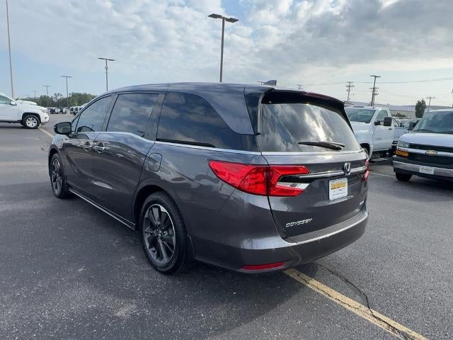2024 Honda Odyssey Elite