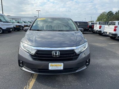 2024 Honda Odyssey Elite
